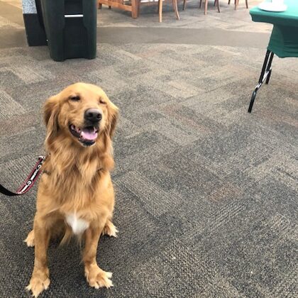 Captain, unofficial attendee and awesome dog.